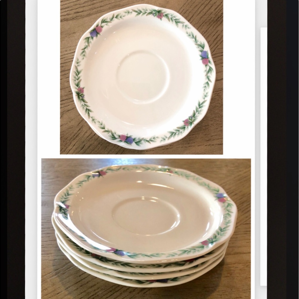 Set 4 Nortake Gala Cuisine Conservatory 7” plates